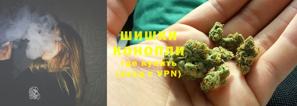 трава Балахна