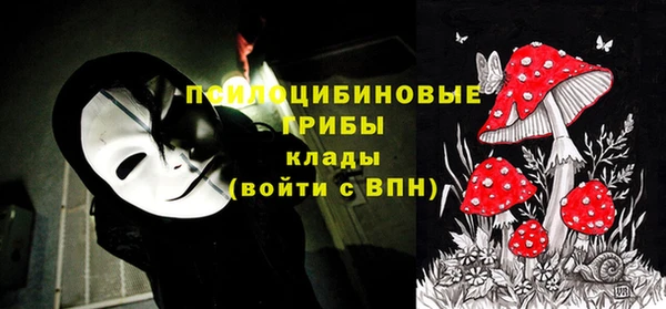 трава Балахна