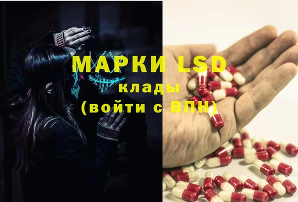 трава Балахна