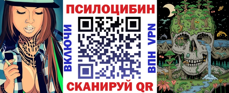 где найти   Нестеров  Галлюциногенные грибы ЛСД 